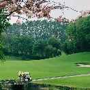 弓長(zhǎng)思歌